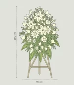 Lágrima-Blanca-para-funeral-detalle-medidas