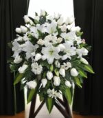 lagrima-condolencias-quito